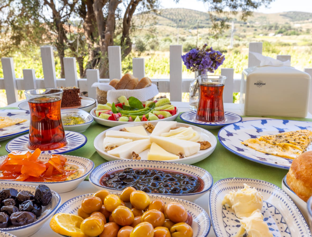 Transfer Nedir ve Nasıl Yapılır?